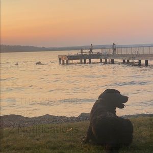 Meet your Posher, Julie